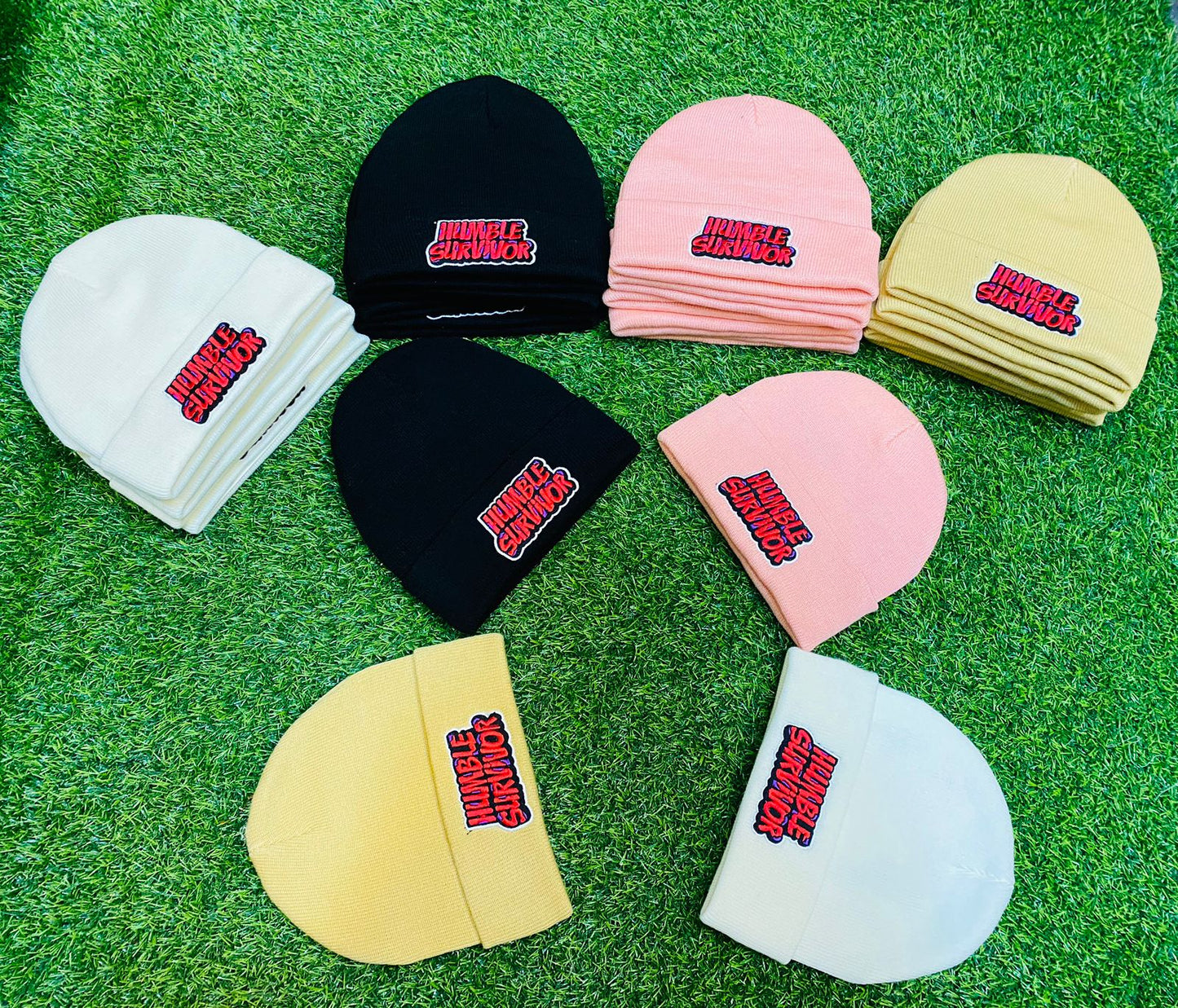 Beanies(Signature Color Logo)